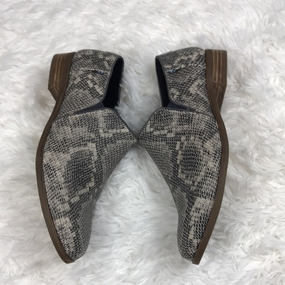 Toms Animal Print - Picture 5 of 10